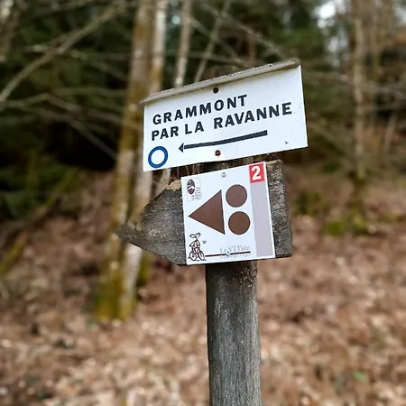 Gite De La Ravanne Ramonchamp Exterior foto